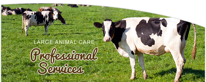 Large Animal Veterinary Services | Chippewa Falls WI Vet Clinic Large Animal Veterinary Services | Chippewa Falls WI Vet Clinic